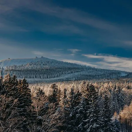 Five Seasons Aparthotel Schreiberhau