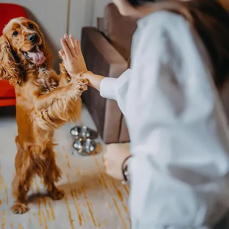 Five Seasons Aparthotel