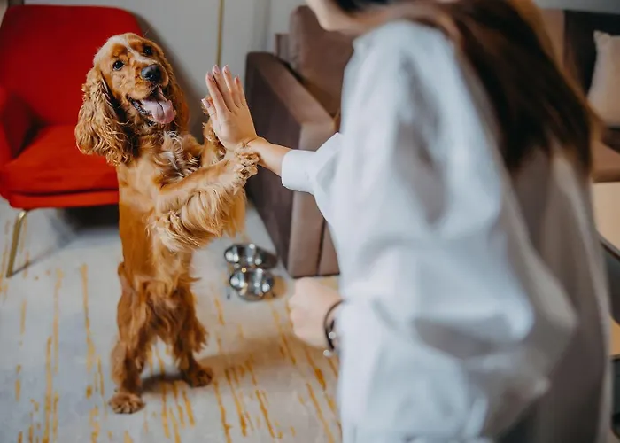 Five Seasons Ξενοδοχείο με διαμερίσματα